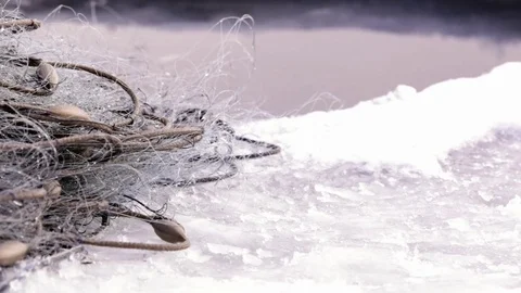 Big perch catched with winter fishnets layed on ice Stock Footage 74520394