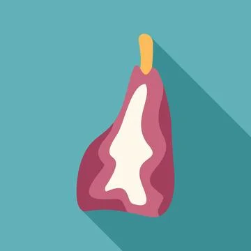 Big piece of red meat with bone preparing for barbecue Stock Illustration