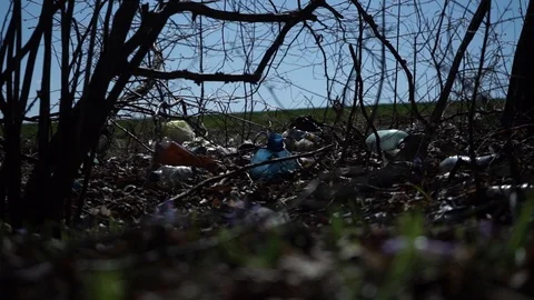 Big pile of garbage in the forest. Environmental pollution Stock Footage 126358949