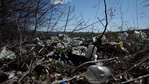 Big pile of garbage in the forest Stock Footage 126358960