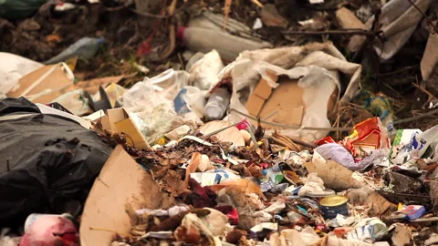 A big pile of garbage in the woods. An ecological disaster on earth. Stock Footage 295033244