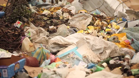A big pile of garbage in the woods. An ecological disaster on earth. Stock Footage 295033387