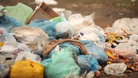 A big pile of garbage in the woods. An ecological disaster on earth. Stock Footage 295033406