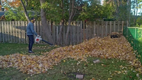A big pile of leaves blown with a leaf blower Stock Footage 321321024