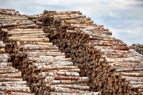 Big pile of logs Stock Photos