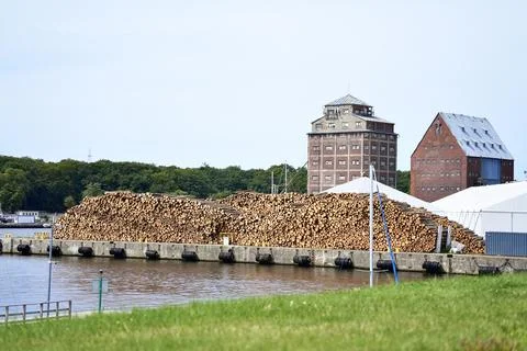 Big pile of timber ready for loading on ship in seaport. Stock Photos