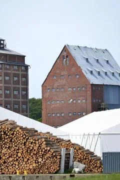 Big pile of timber ready for loading on ship in seaport. Stock Photos