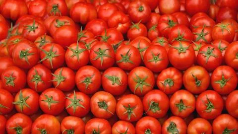 Big Pile of Tomatoes Stock Photos