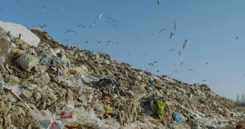 Big piles of garbage. Empty bottles, plastic in the waste dump. Stock Footage 120442920