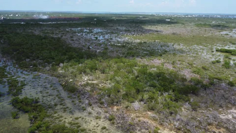 Big Pine Key brush fire near Key deer Boulevard shot two Stock Footage 343963824