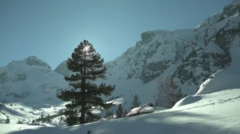 Big Pine Snowy Mountain Peaks Stock Footage 59776303