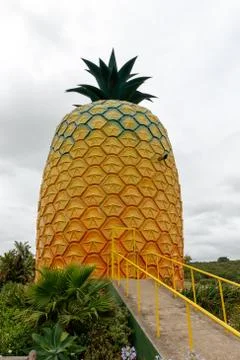 Big Pineapple Bathurst Stock Photos