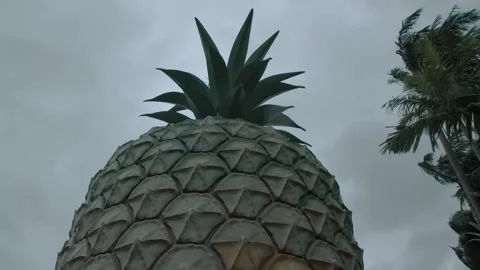 Big Pineapple Landmark Against Cloudy Sky in Sunshine Coast, Queensland, Austral Stock Footage 341290632