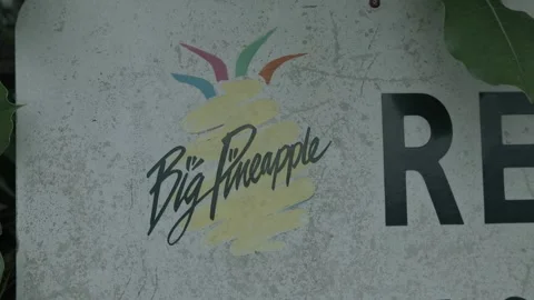 Big Pineapple Sign Closeup on Weathered Surface in Sunshine Coast Australia Stock Footage 341291358