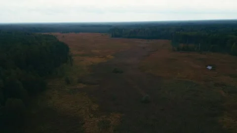 Big plain Stock Footage 260630260