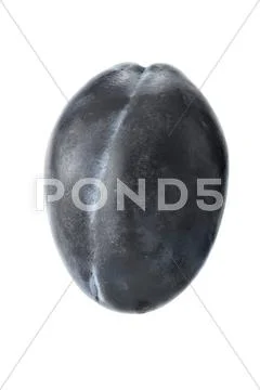 Big plum isolated Stock Photos