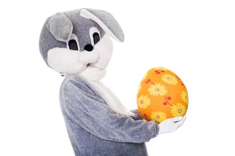 Big plush bunny hold Easter egg. Studio portrait isolated over white background 스톡 사진