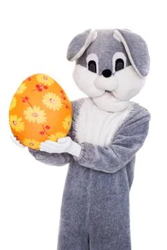 Big plush bunny hold Easter egg. Studio portrait isolated over white background Stock-Fotos