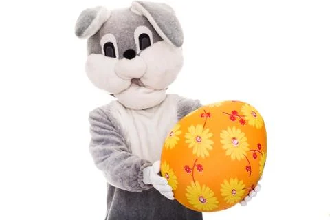 Big plush bunny hold Easter egg. Studio portrait isolated over white background Stock Photos