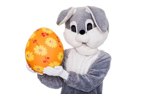 Big plush bunny hold Easter egg. Studio portrait isolated over white background Foto stock