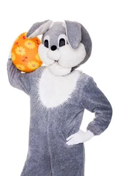 Big plush bunny hold Easter egg. Studio portrait isolated over white background Stock Photos
