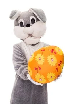 Big plush bunny hold Easter egg. Studio portrait isolated over white background Foto stock