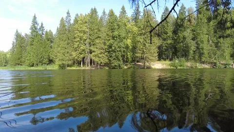 Big pond in the forest 動画素材 159663985