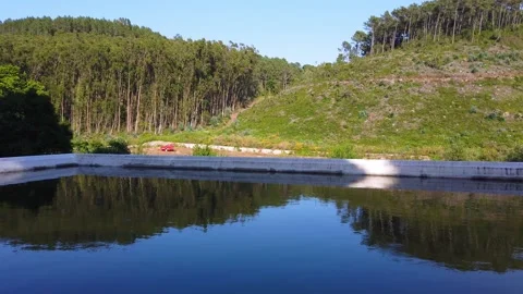 Big pool in a countryside House surrounded by trees Stock Footage 132528451