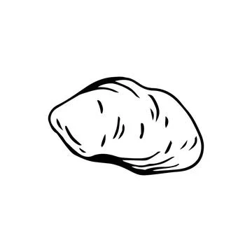 Big potato thin black lines on white background - Vector Big potato thin b... Stock Photos