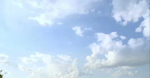 Big Power Plant Stock Footage 49688029