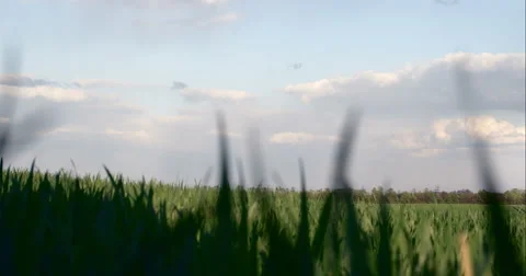 Big Power Plant Stock Footage 49690259