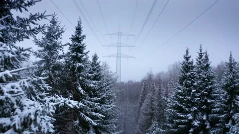 Big Power Pole in Winter Forest 2 Stock Footage 146758504