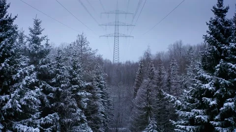 Big Power Pole in Winter Forest 5 Stock Footage 146779940
