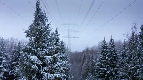 Big Power Pole in Winter Forest 4 Stock Footage 146782736