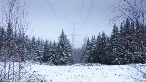 Big Power Pole in Winter Forest 1 Stock Footage 146785883