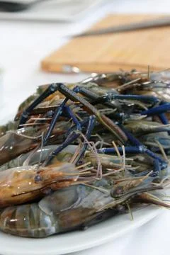 Big prawns Stock Photos