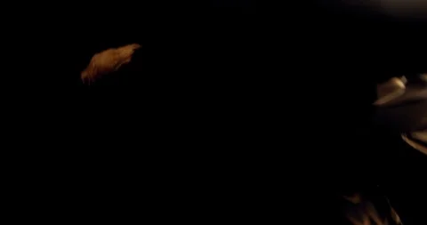 Big predatory hawk with brown feathers is flapping its wings, 4k Vidéo 123055667