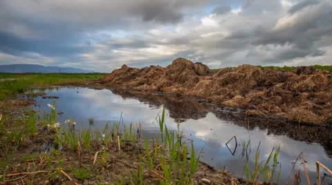 Big Puddle and Storm Clouds Stock Footage 23266124