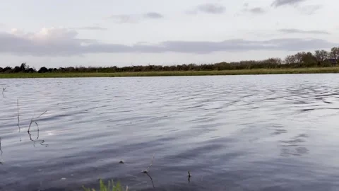 Big puddle in Dutch polder Video stock 255715851