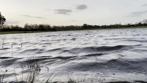 Big puddle in Dutch Polder Video stock 255716518