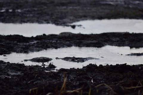 Big puddle on a paddock on a dreary day Stock Photos