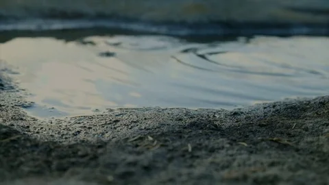 Big puddle with rain drops falling Stock Footage 83008570