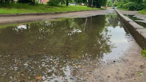 Big puddle reflecting green trees on wet city road, street landscape  Stock Footage 336549111