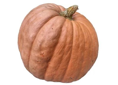 Big pumpkin isolated on white background Stock Photos