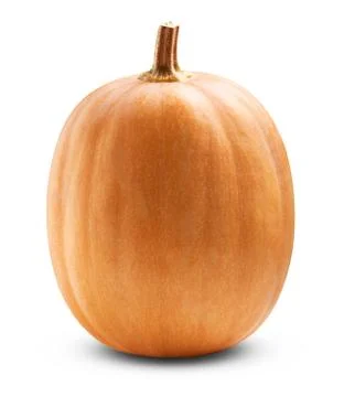 Big pumpkin Stock Photos