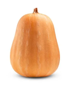 Big pumpkin Stock-Fotos