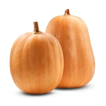 Big pumpkin Stock Photos