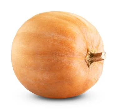 Big pumpkin Foto stock