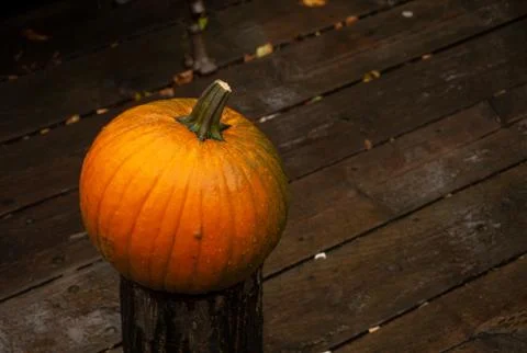 Big pumpkin Stock Photos