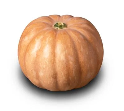 Big pumpkin Stock Photos